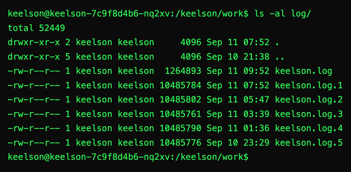 Directory listing of the current log file and its five rotated backups